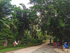 -东寨港红树林旅游区