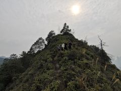 -南山植物园