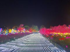 -国际非物质文化遗产博览园