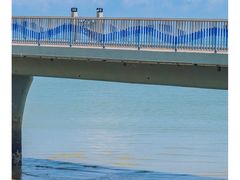 -北海金海湾红树林生态旅游区