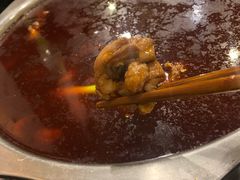 -冯记香辣兔火锅(茶店子总店)