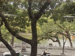 -潮镇老尾牛杂(环城西路店)