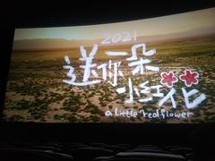 -博纳UA影城(KK Mall IMAX店)