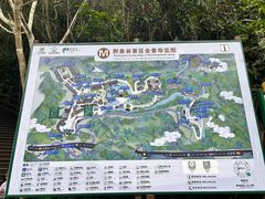 -野象谷景区