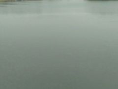 -昆山城市生态森林公园