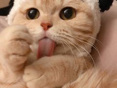 -肯德基(昌里店)