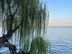 -东湖听涛景区