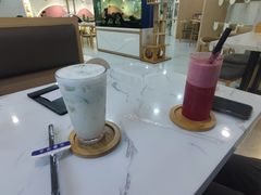 -喵园·猫主题咖啡厅·撸猫·猫咖(国贸店)