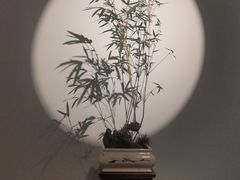 -武汉美术馆(汉口馆)