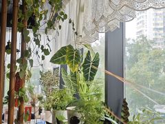 -懒人盐府人家(航天桥店)