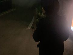 -金银湖国家城市湿地公园