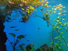 -太平洋海底世界