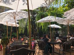-Fern Forest Cafe