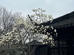 -拙政园