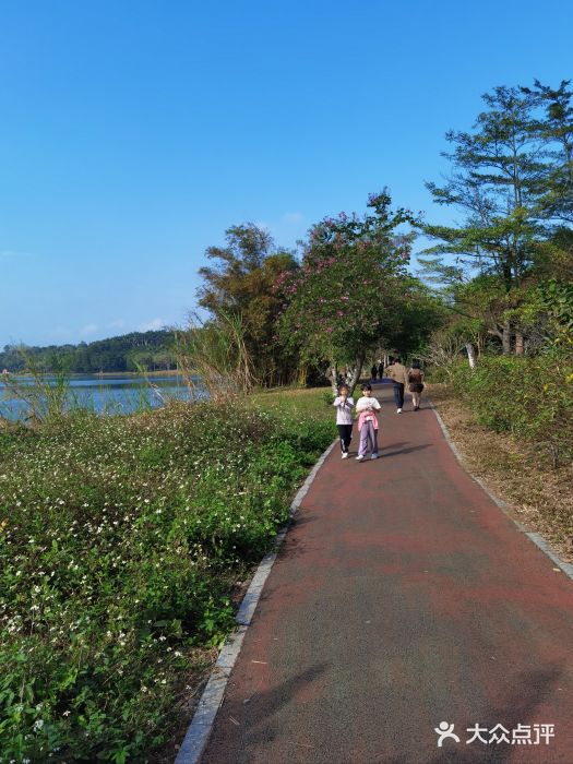 湖光岩风景区图片