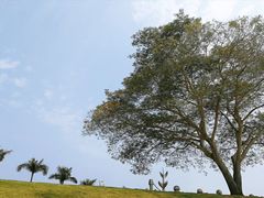 -黄金海岸环岛路