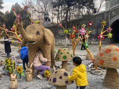 -保定市动物园