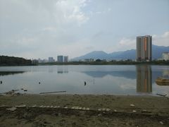 -飞来湖湿地公园