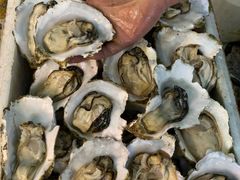 -土蚝·高压锅生蚝(百姓美食街店)