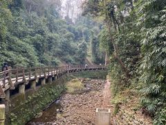 -凤栖山