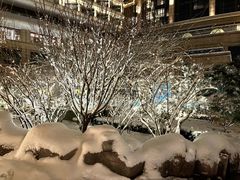 -北京乐多港万豪酒店汤乐宫温泉