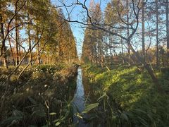 -黄海国家森林公园