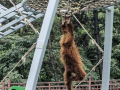 -西霞口神雕山野生动物世界