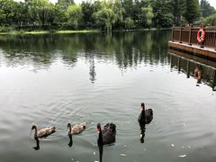 -南通濠河风景名胜区