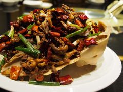 -蒙料·手把肉(望京店)