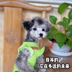 -一个差评成就的纹眉店
