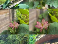 -花锦堂·隐庐