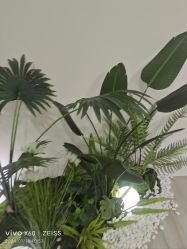 -HEYAN荷妍专业脱毛连锁机构