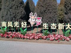 -大兴滨河森林公园