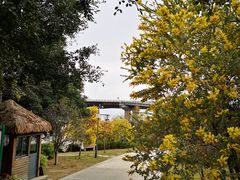 -仓山金山寺