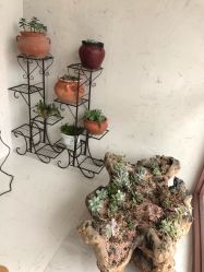 -美雅枫医疗美容医院