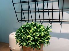 -大熊小厨(七星店)