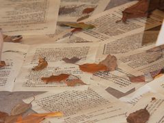 -东钱湖旅游度假区