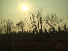 -洛阳龙门站