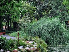 -成都市活水公园