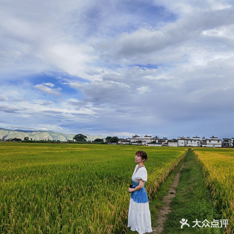 大理环洱海自驾露营攻略✅遇见不一样的苍山洱海