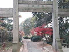 -雨花胜境