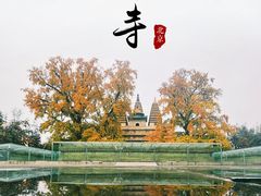 -北京石刻艺术博物馆