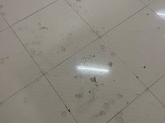 -威尔仕健身·游泳(KING88店)