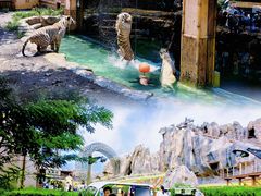 -郑州银基国际旅游度假区