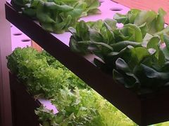 -满堂欢豆捞坊(美丽华大酒店店)