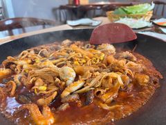 -红辣椒八爪鱼特色韩国料理