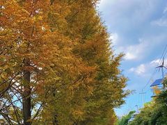 -贵阳市花溪国家城市湿地公园
