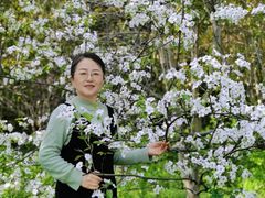 -南汇桃花村