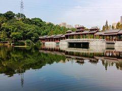 -重庆彩云湖湿地公园