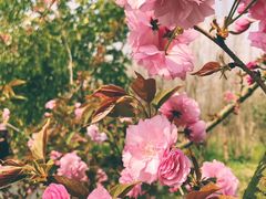 -白鹭湾湿地公园